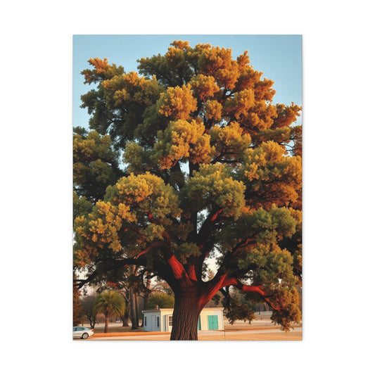 Oak Tree Art Luxury Canvas Wall Art & Canvas Print