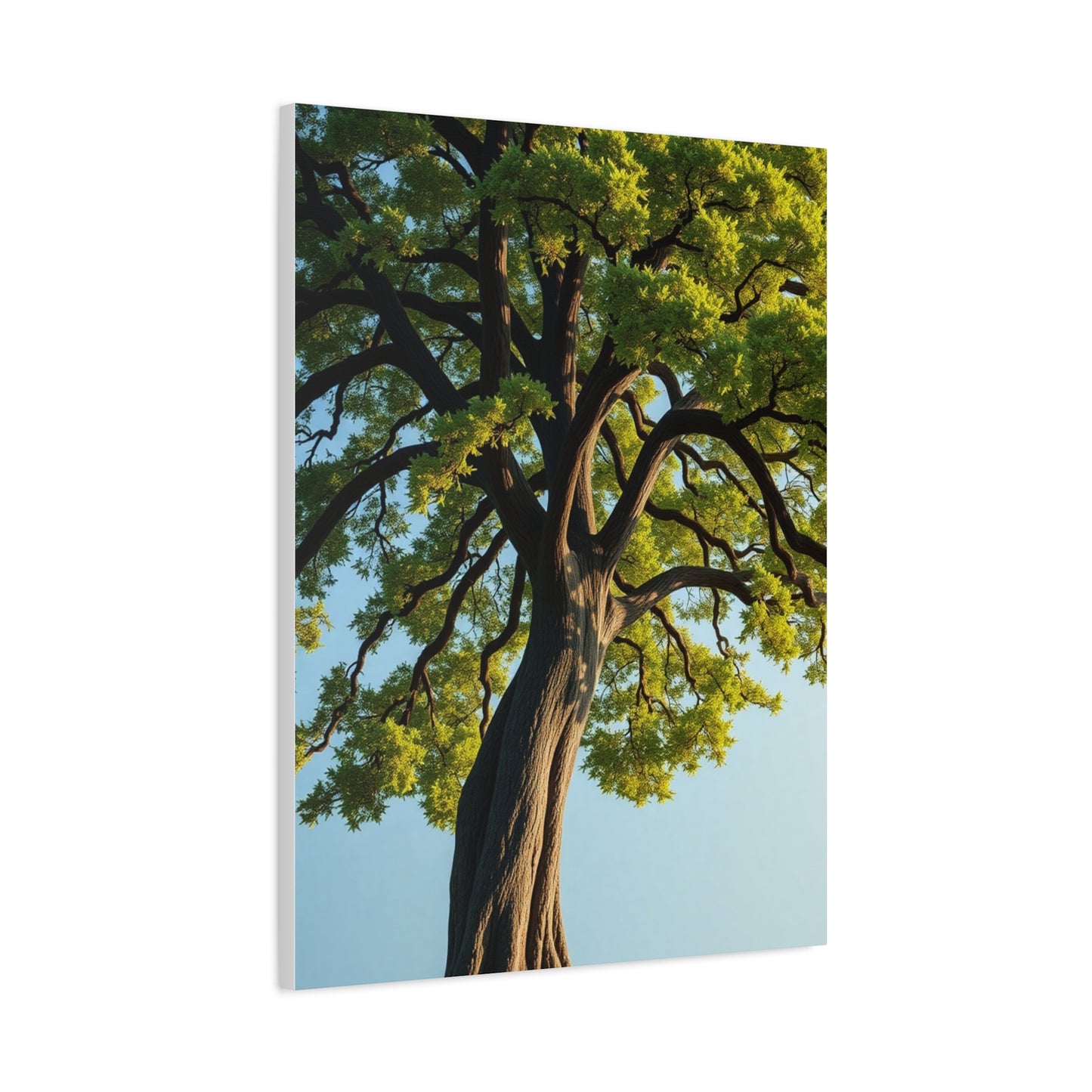Elite Oak Tree Art Vision Wall Art & Canvas Print