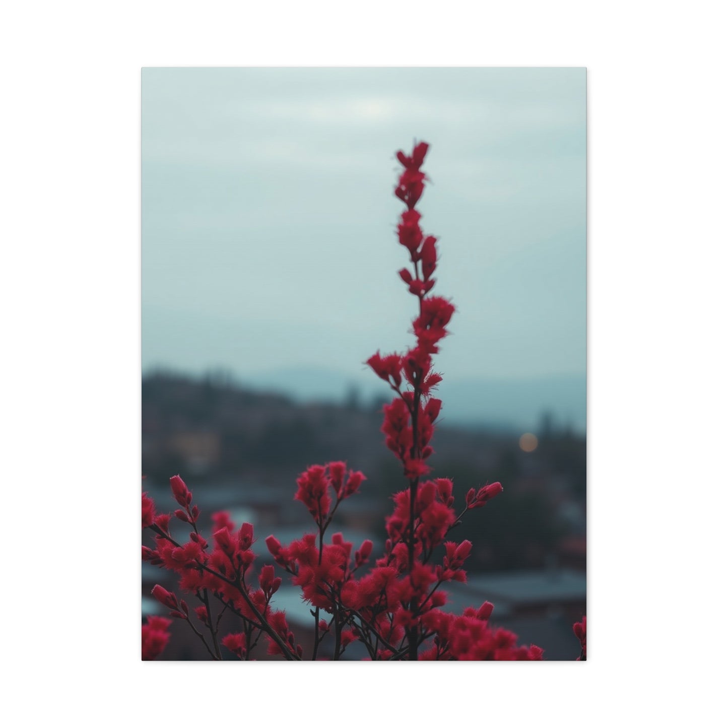 Rosy Elegance Wall Art Wall Art & Canvas Print