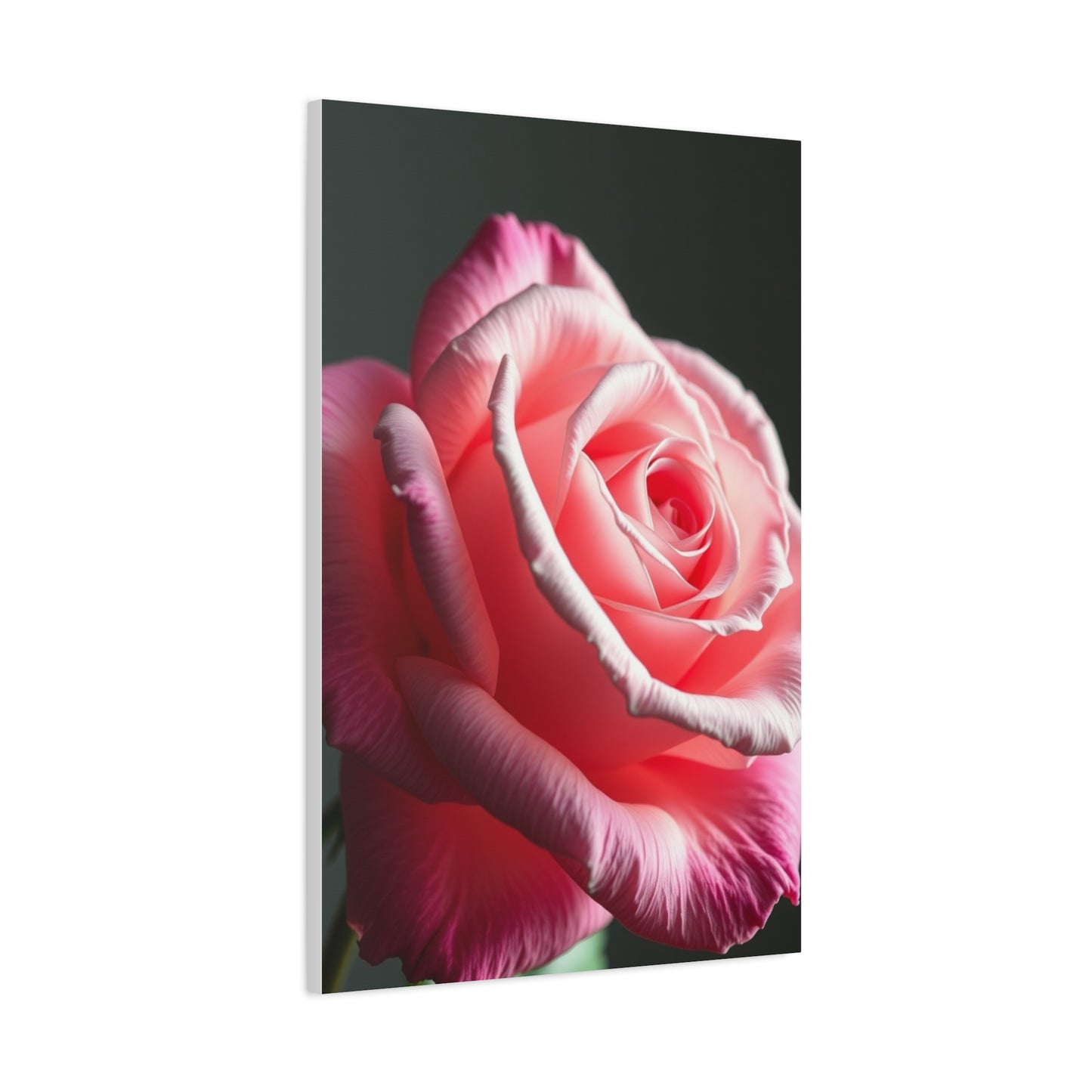 Supreme Rose Flower Art Collection Wall Art & Canvas Print