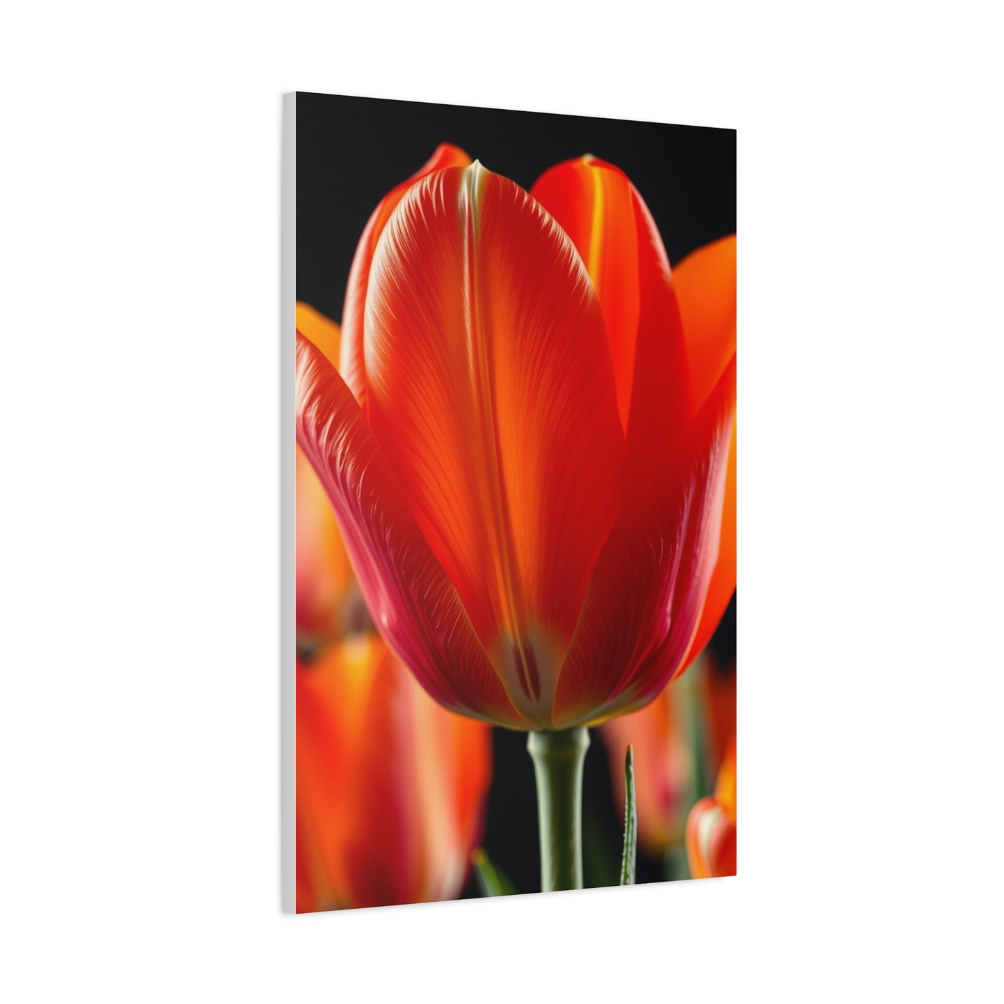 Elite Tulip Flower Art Vision Wall Art & Canvas Print