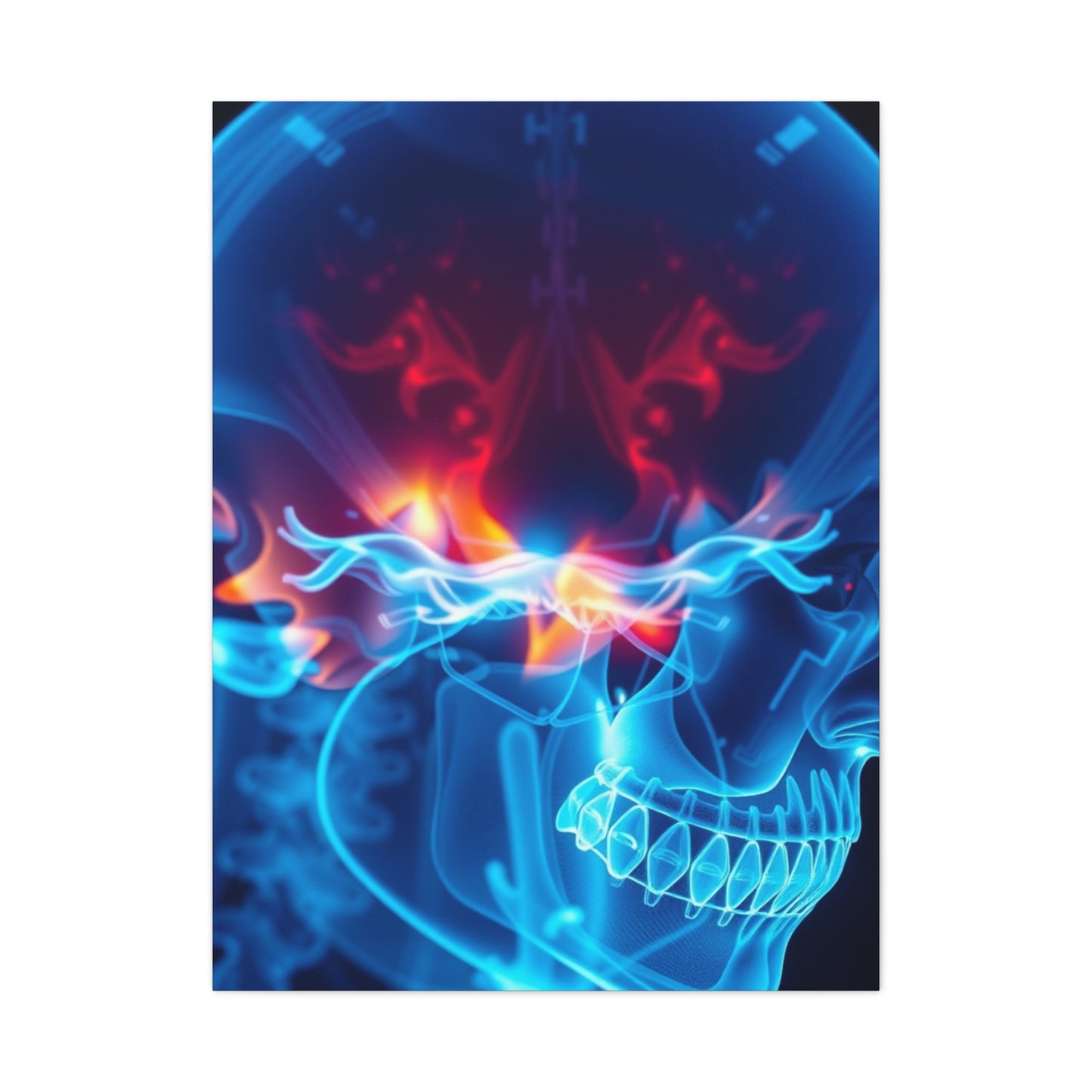 X-Ray Photography Art Luxury Canvas Wall Art & Canvas Print