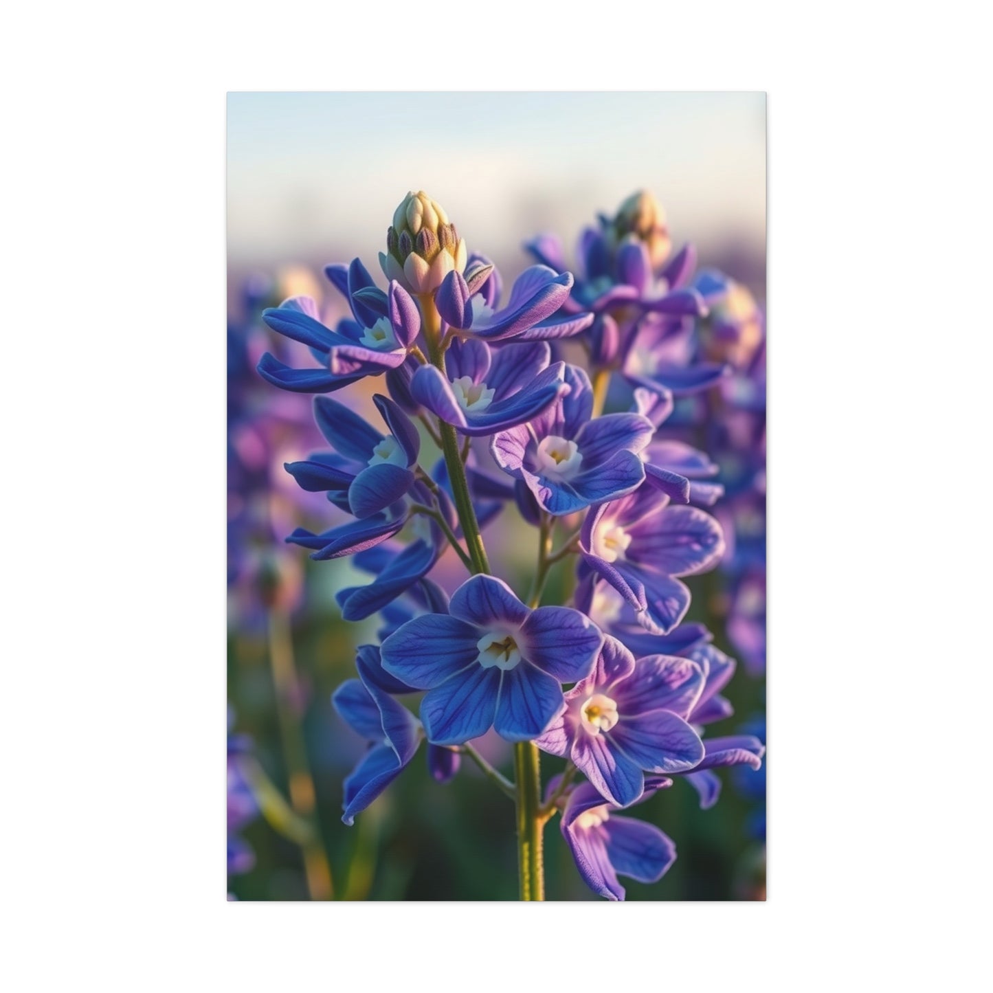 Supreme Bluebonnet Flower Art Collection Wall Art & Canvas Print