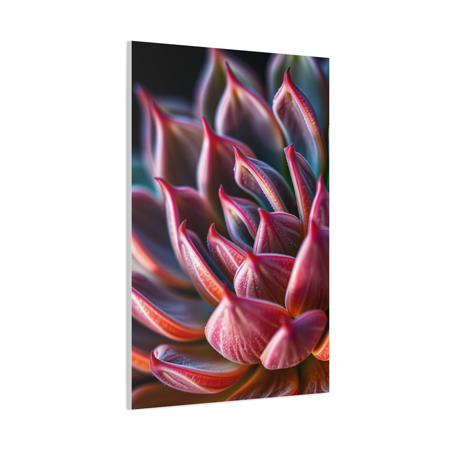 Collection Succulent Art Art Wall Art & Canvas Print