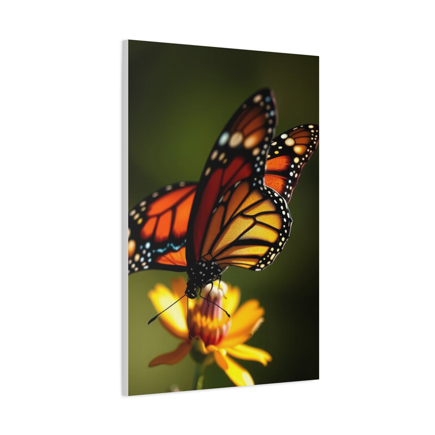 Supreme Monarch Butterflies Art Collection Wall Art & Canvas Print