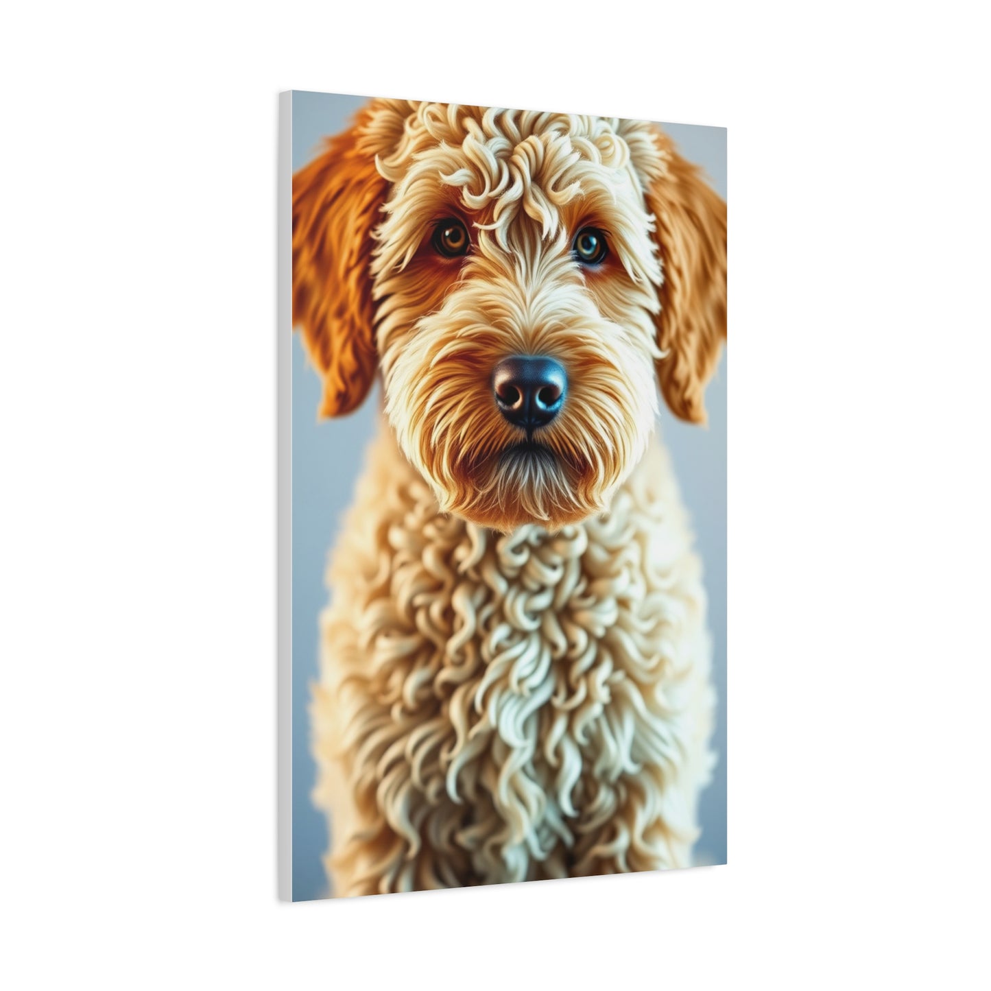 Golden Doodle Art Supreme Gallery Wall Art & Canvas Print
