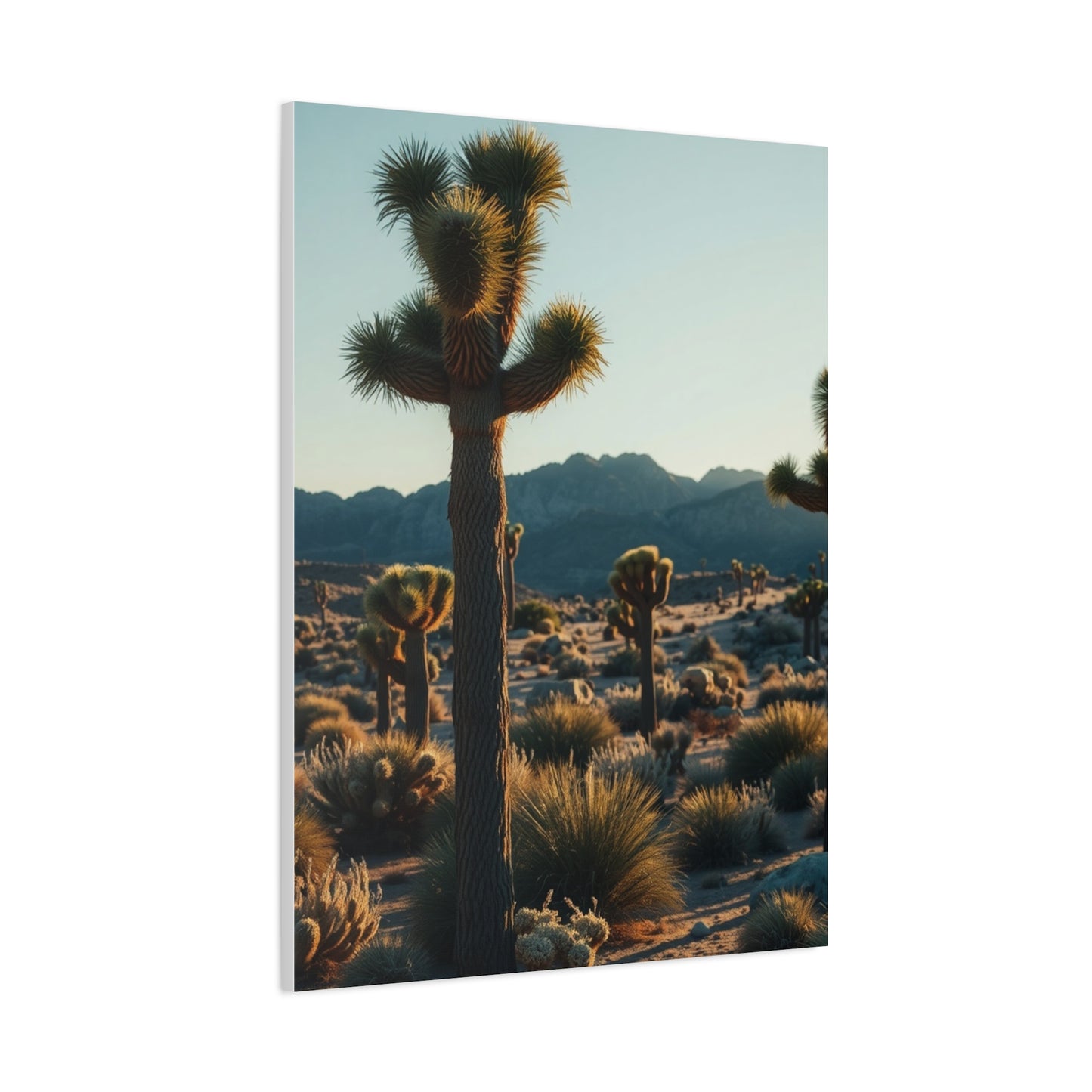 Elite Joshua Tree National Park Art Vision Wall Art & Canvas Print
