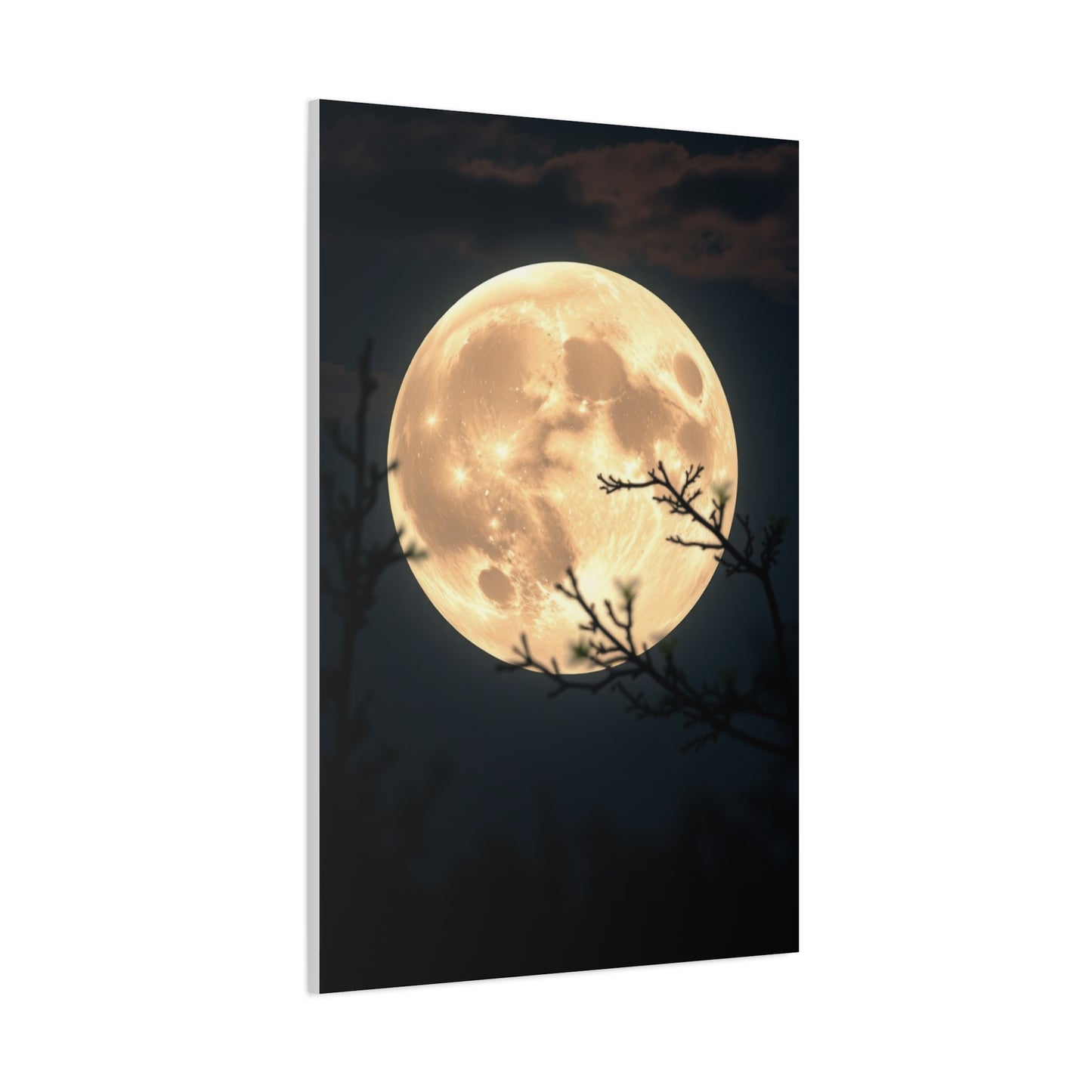 Elite Full Moon Art Vision Wall Art & Canvas Print