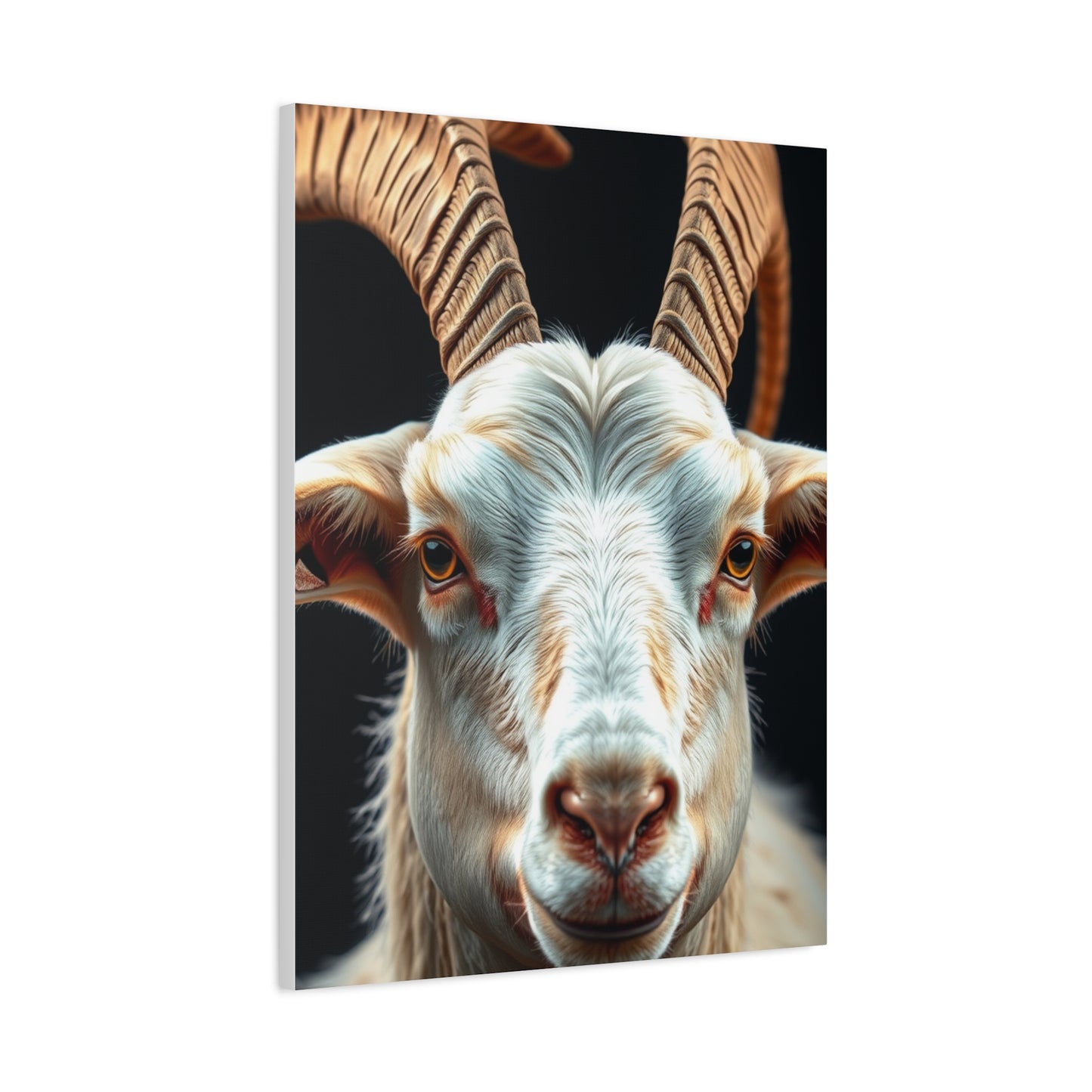 Sublime Goat Tableau Wall Art & Canvas Print