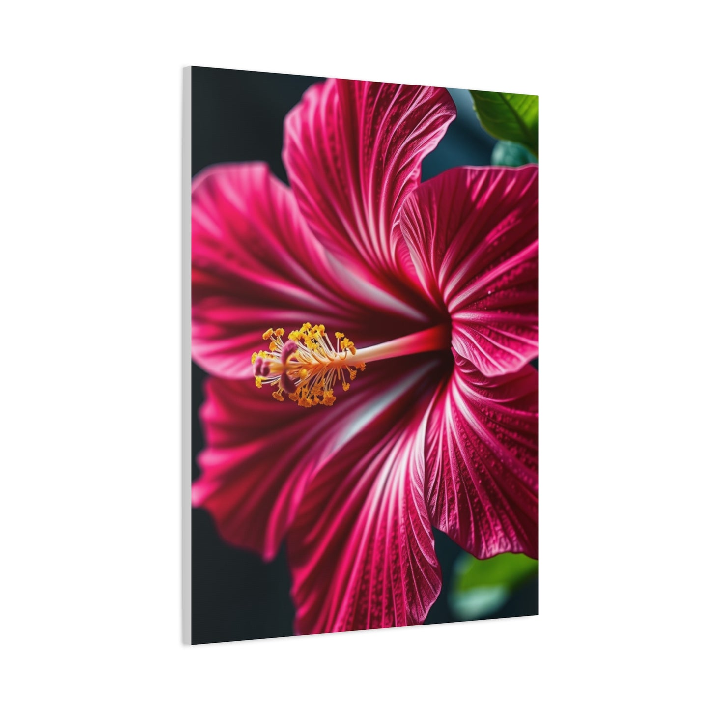 Collection Hibiscus Flower Art Art Wall Art & Canvas Print