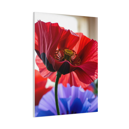 Collection Poppy Flower Art Art Wall Art & Canvas Print