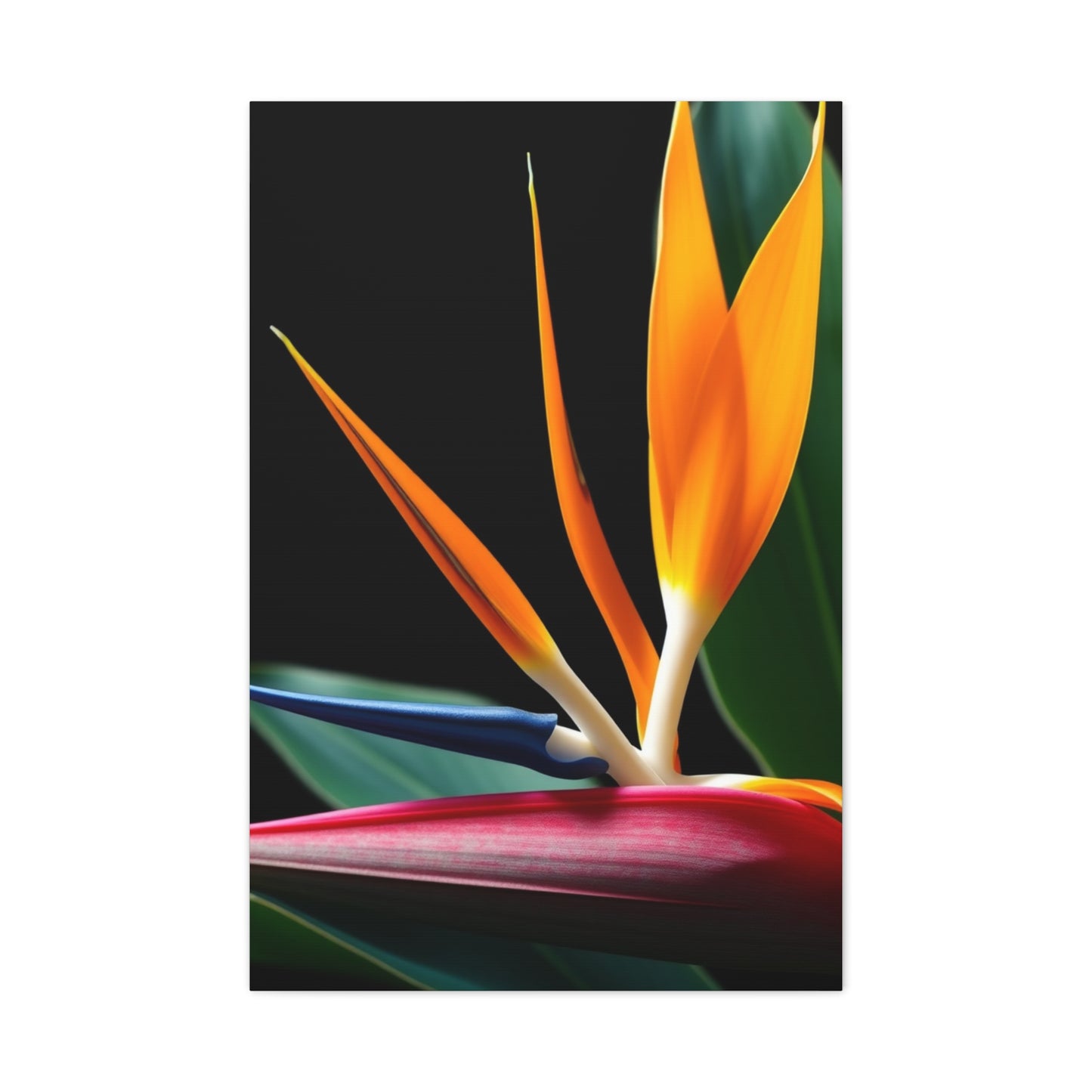 Collection Bird of Paradise Plant Art Art Wall Art & Canvas Print