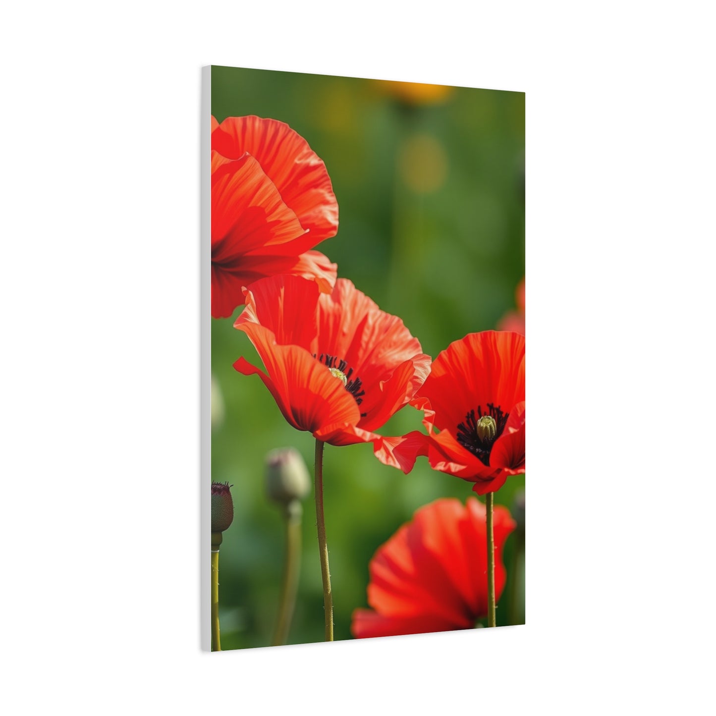 Poppy Flower Art Supreme Gallery Wall Art & Canvas Print
