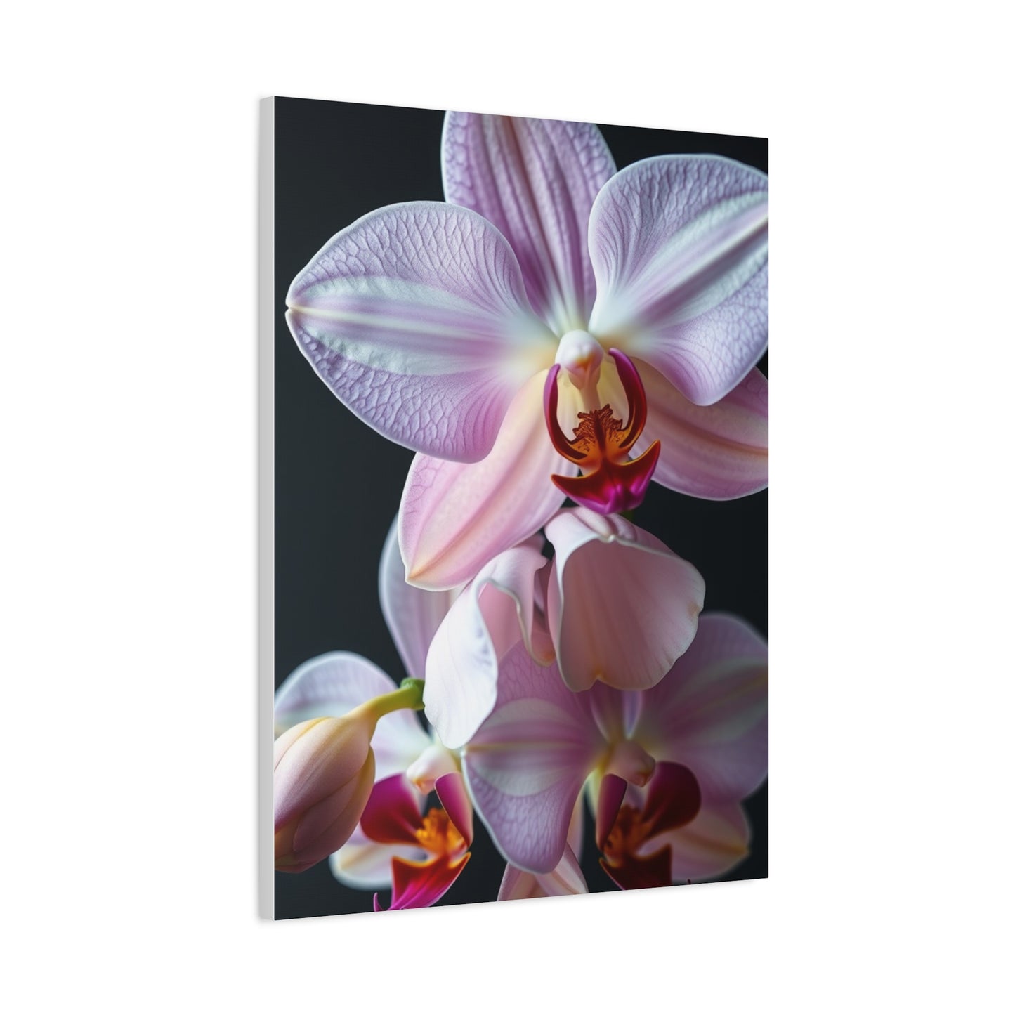 Collection Orchid Flower Art Art Wall Art & Canvas Print