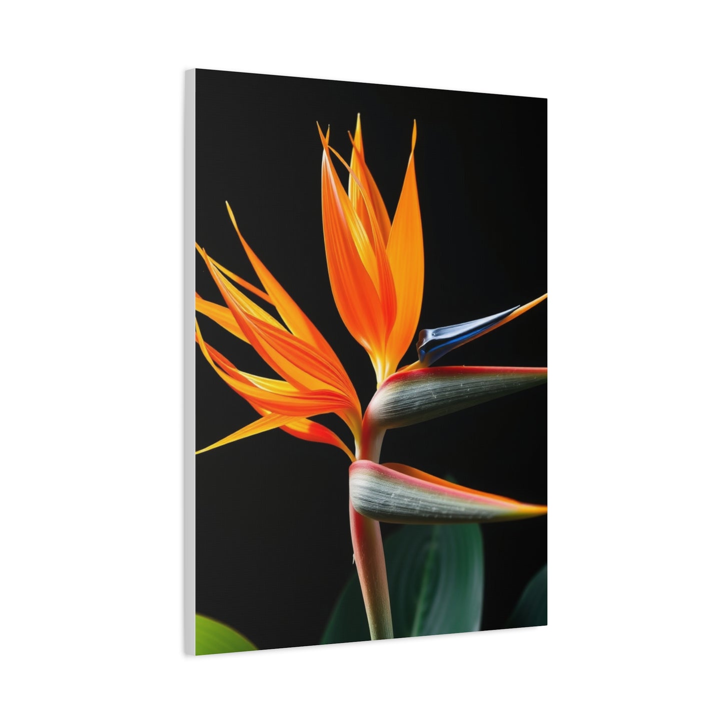 Bird of Paradise Plant Art Luxury Canvas Wall Art & Canvas Print