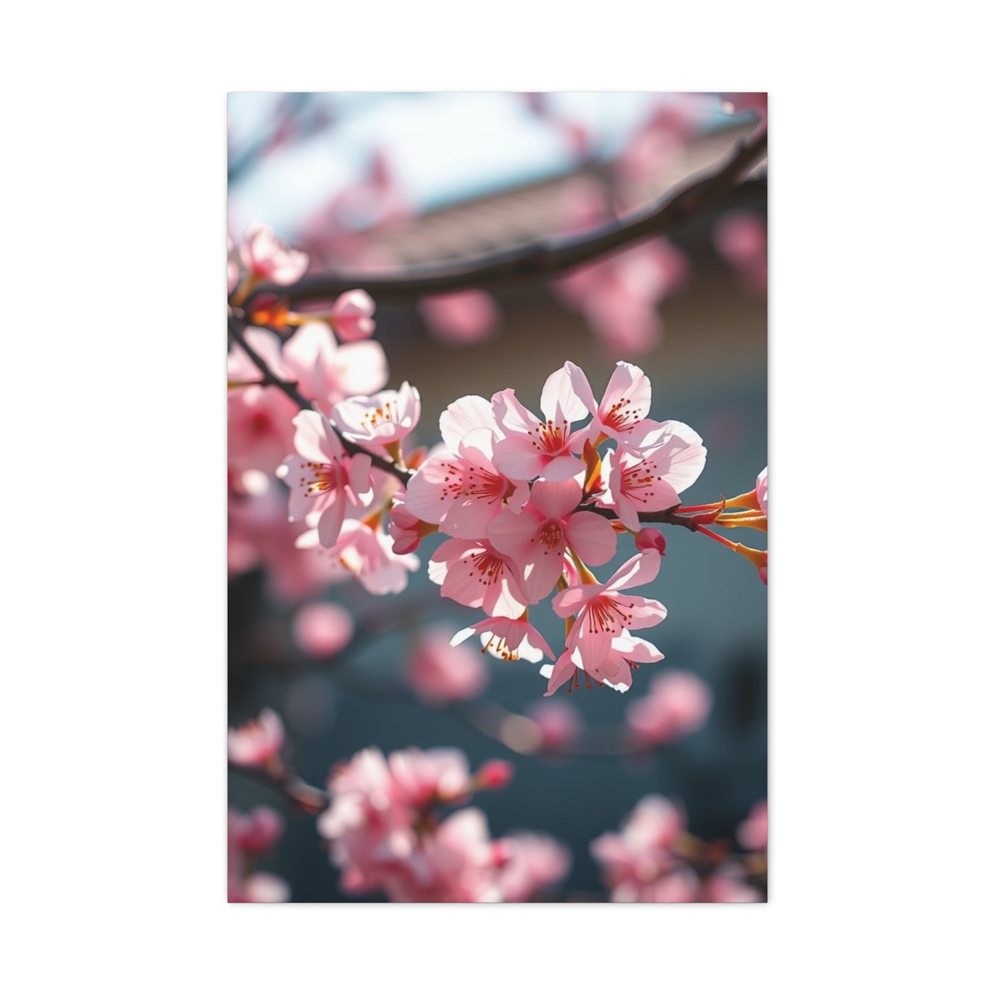 Blossom Reverie Canvas