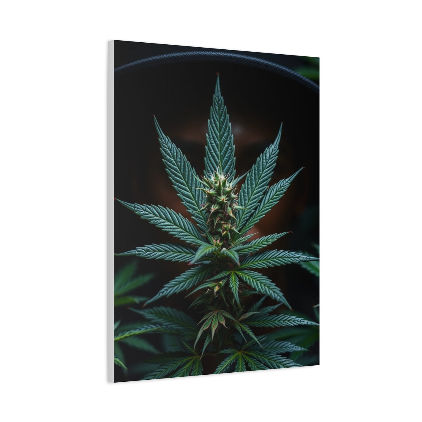 The Emerald Odyssey Wall Art & Canvas Print