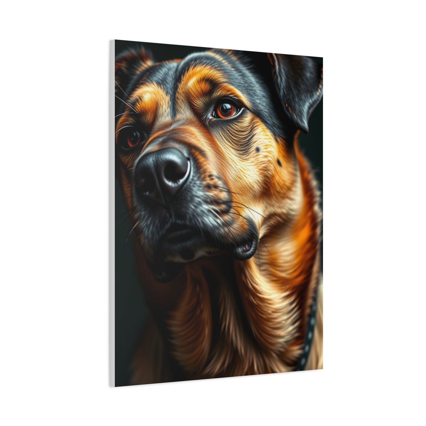 Black and Tan Art Supreme Gallery Wall Art & Canvas Print