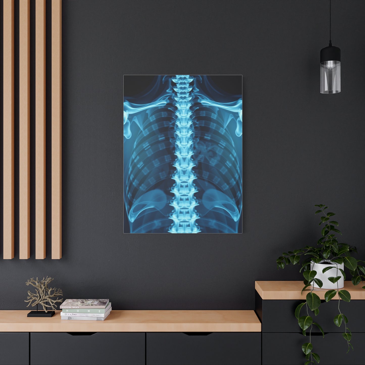 X-Ray Photography Art Supreme Gallery Wall Art & Canvas Print