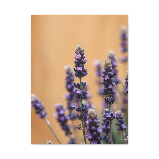 Masterpiece Lavender Herb Art Vision Wall Art & Canvas Print