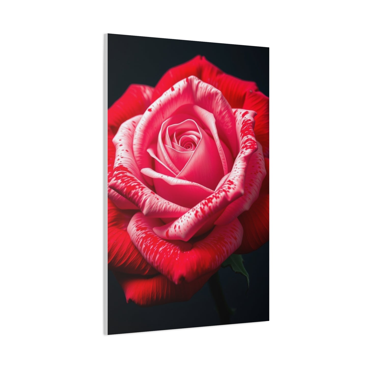 Collection Rose Flower Art Art Wall Art & Canvas Print