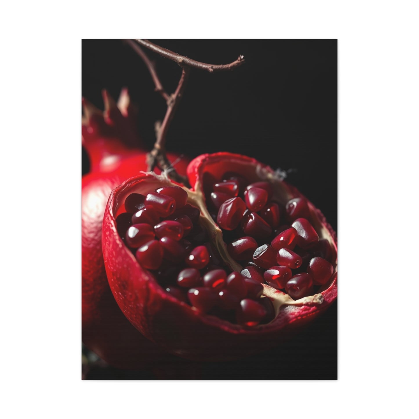 Supreme Pomegranate Noir Wall Art Collection Wall Art & Canvas Print