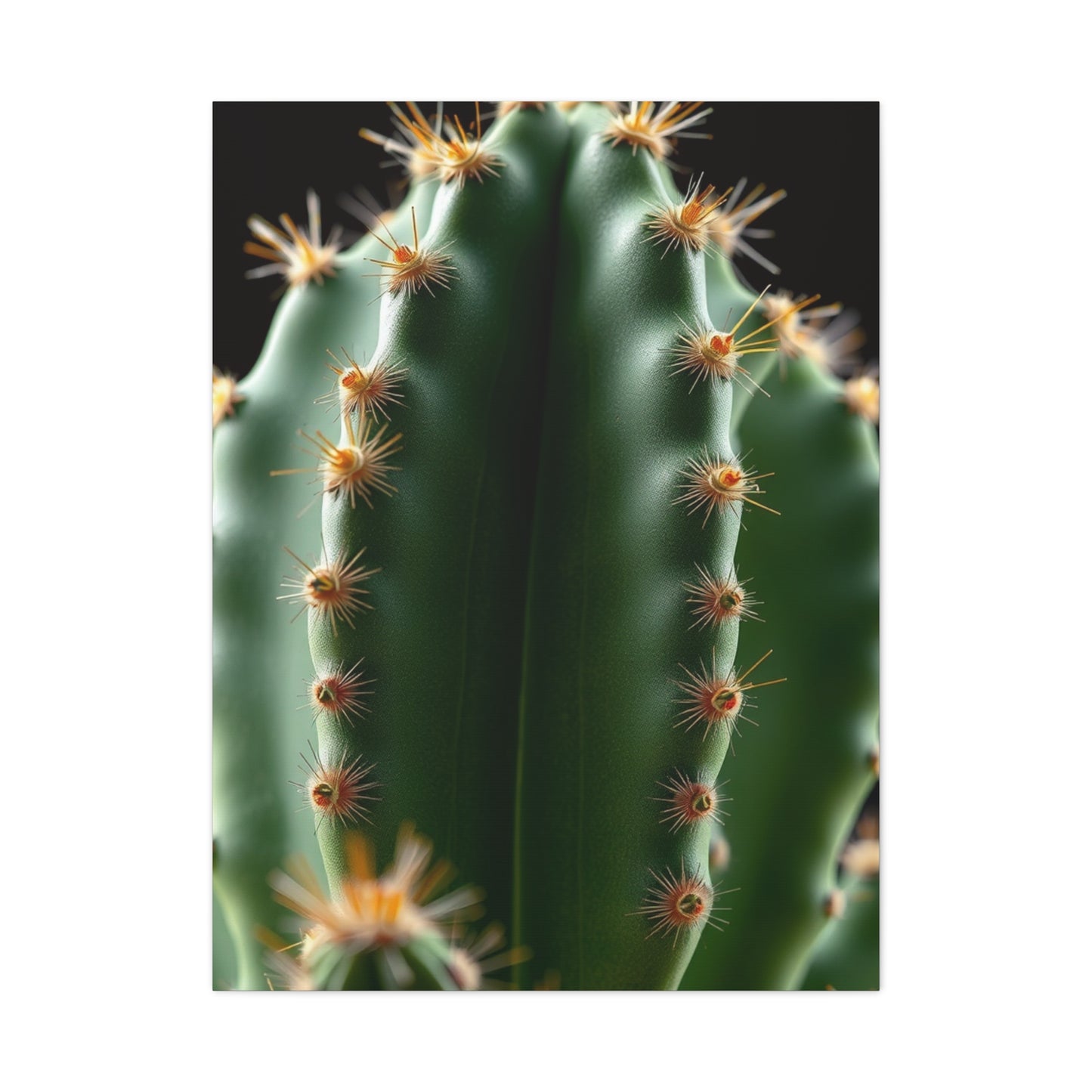 Arid Majesty Canvas Wall Art & Canvas Print