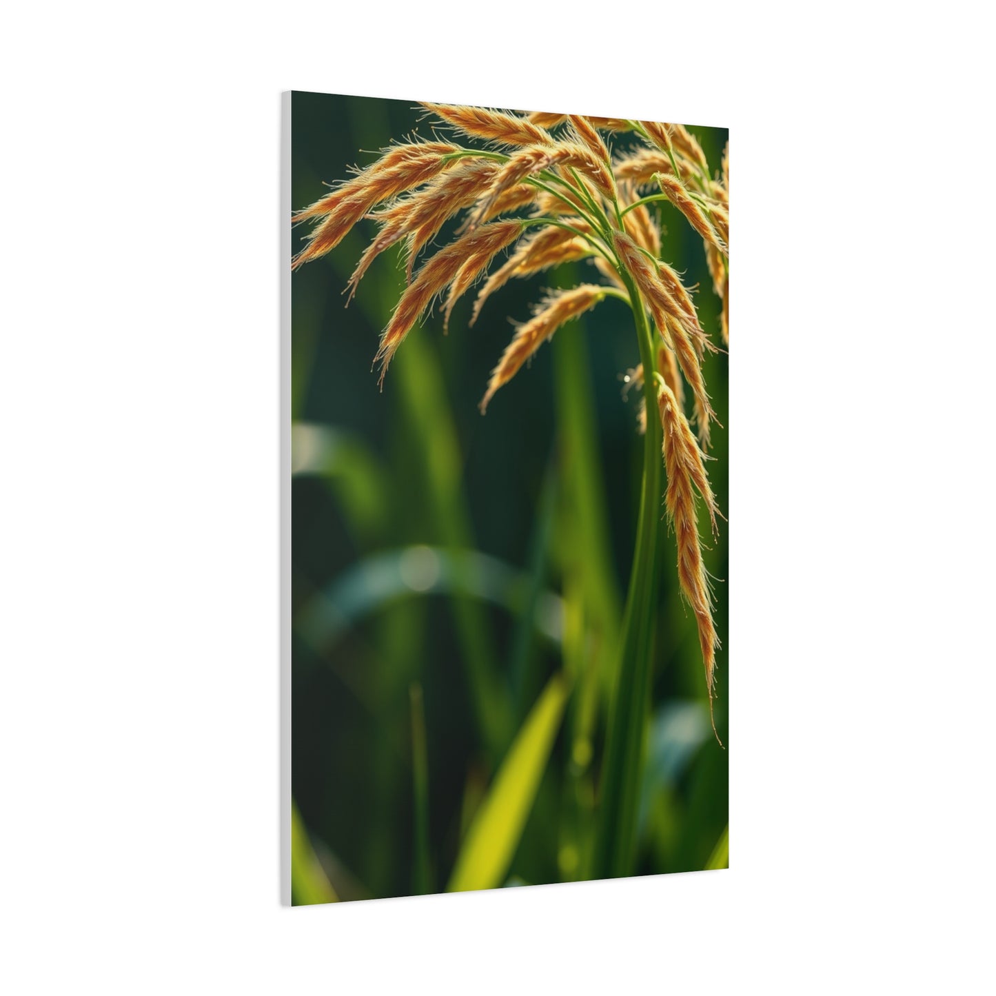 Exquisite Botanic Canvas Wall Art & Canvas Print