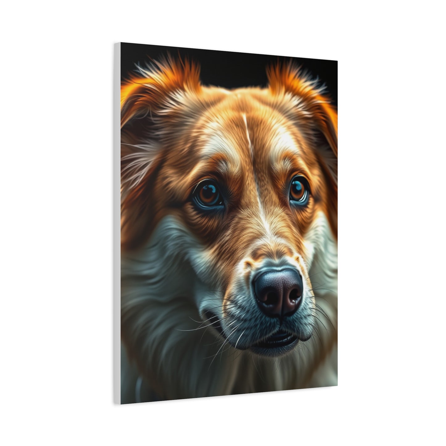 Exquisite Fido Fine Art Wall Art & Canvas Print