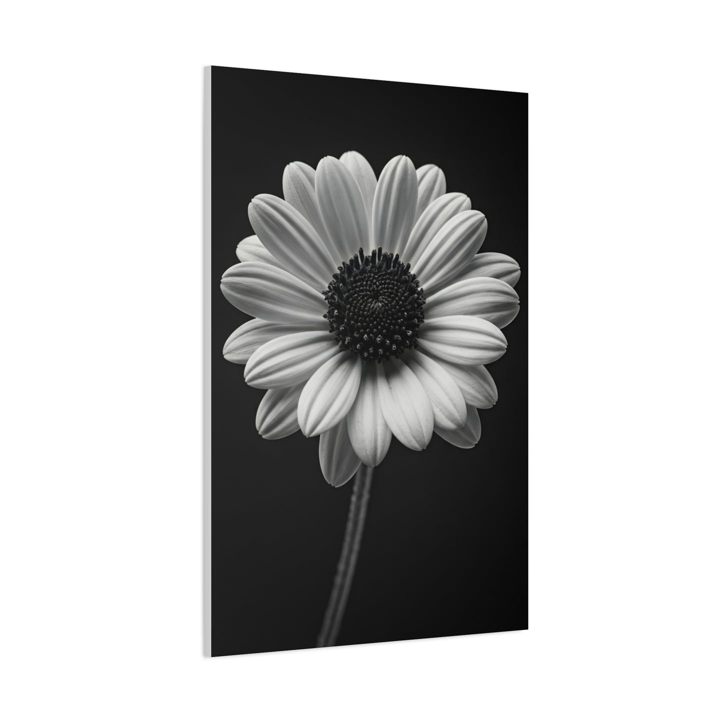 Bold Daisy Contrast Portrait Wall Art & Canvas Prints