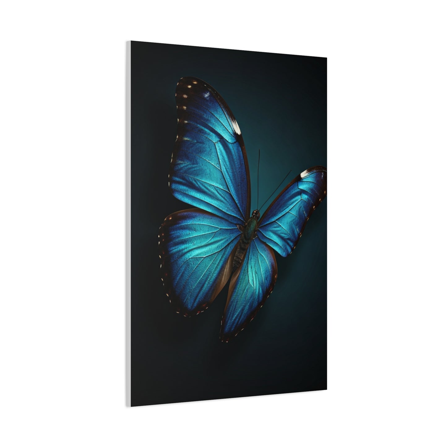 Blue Morpho Butterfly Wings Spread Wall Art & Canvas Prints