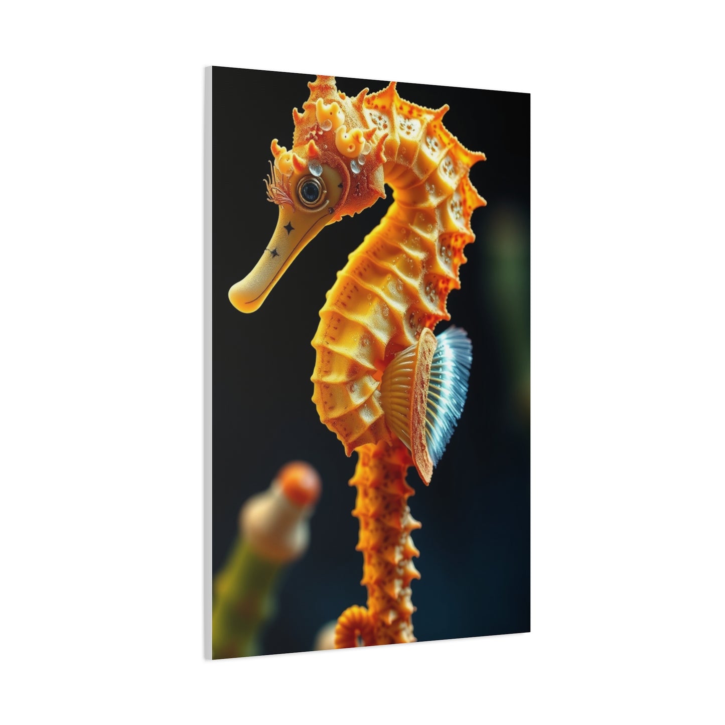 Seahorse Art Luxury Canvas Wall Art & Canvas Print