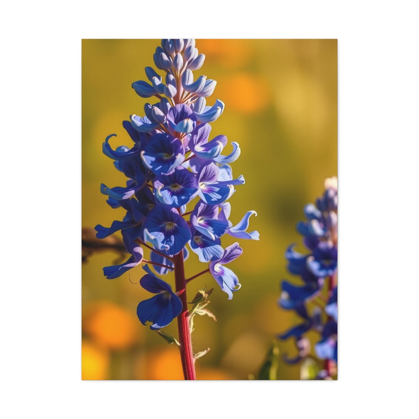 Bluebonnet Flower Art Luxury Canvas Wall Art & Canvas Print