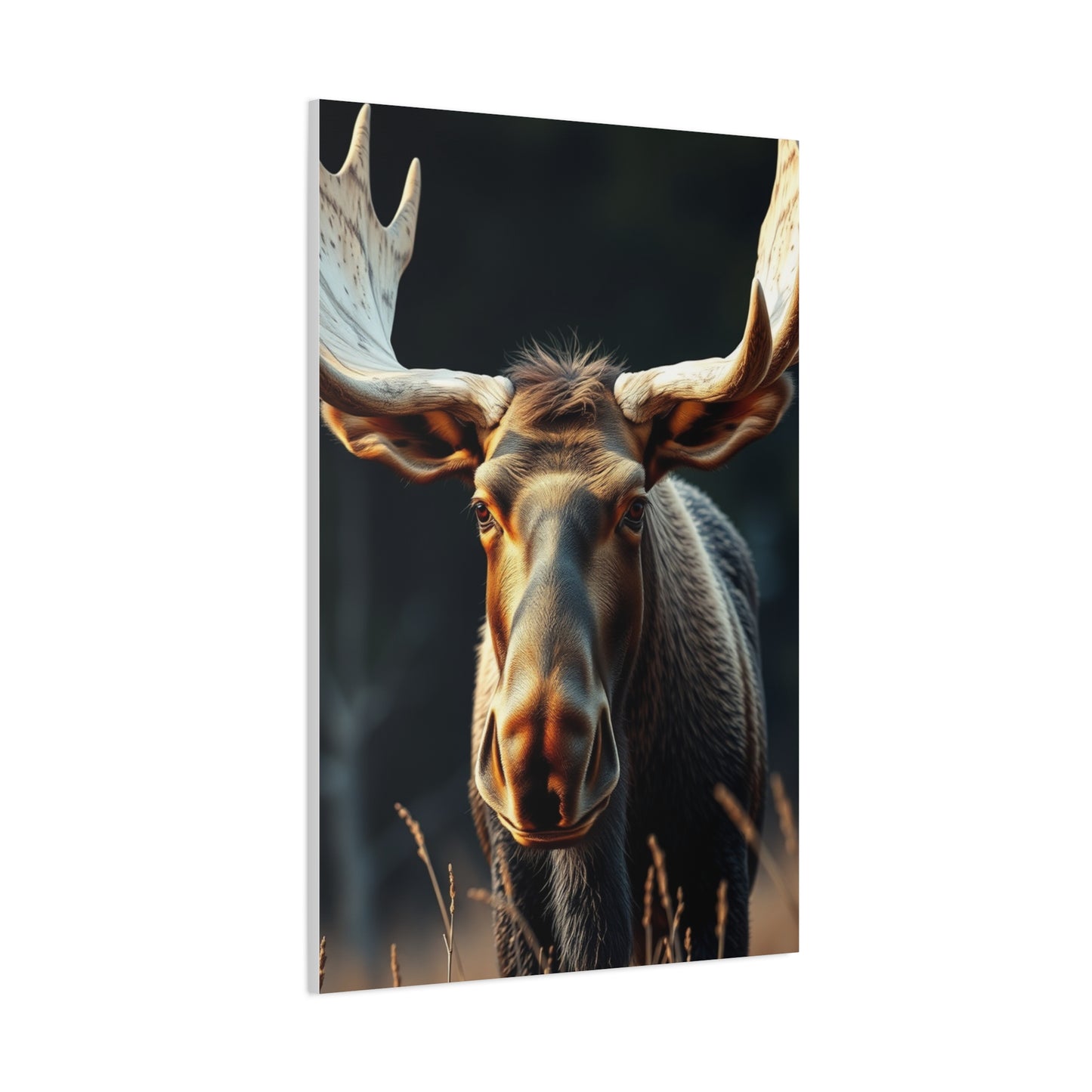 Moose Art Supreme Gallery Wall Art & Canvas Print