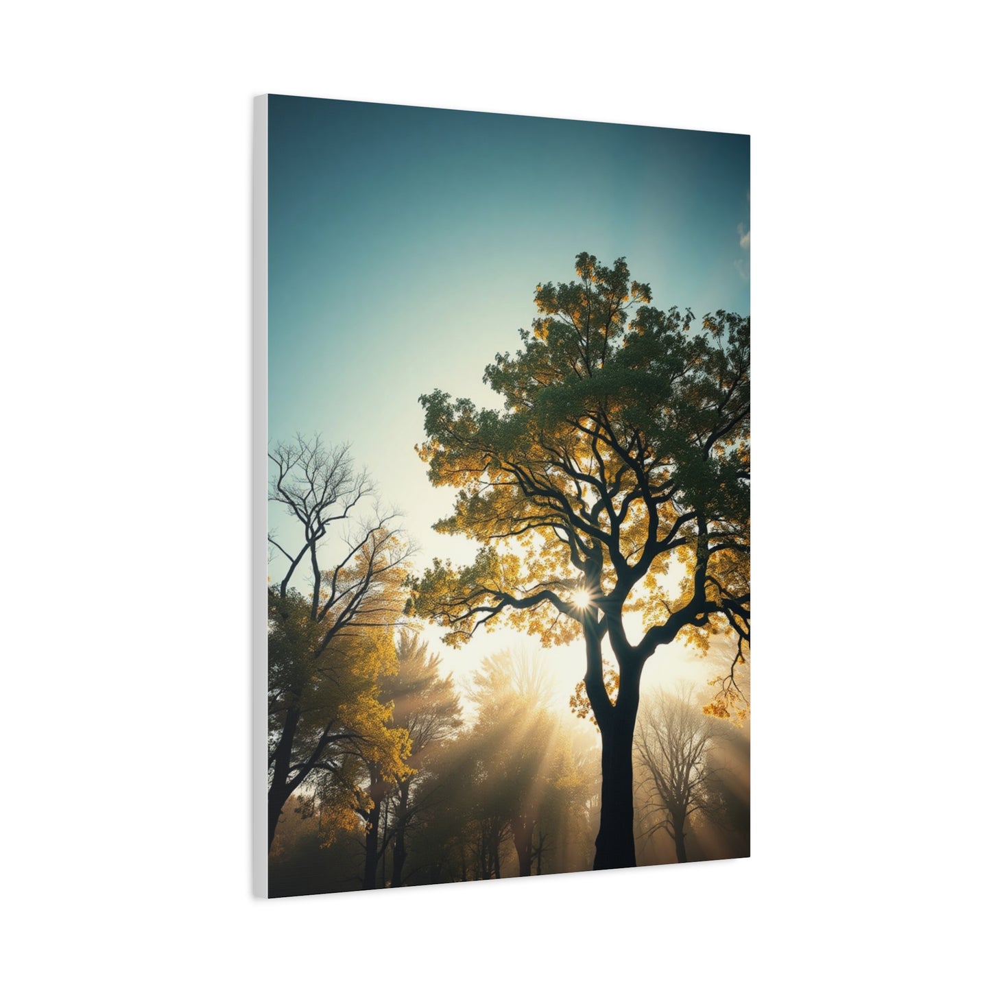 Serene Timberland Canvas Wall Art & Canvas Print