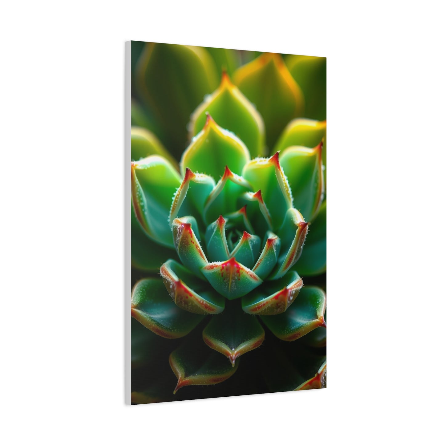 Succulent Art Luxury Canvas Wall Art & Canvas Print