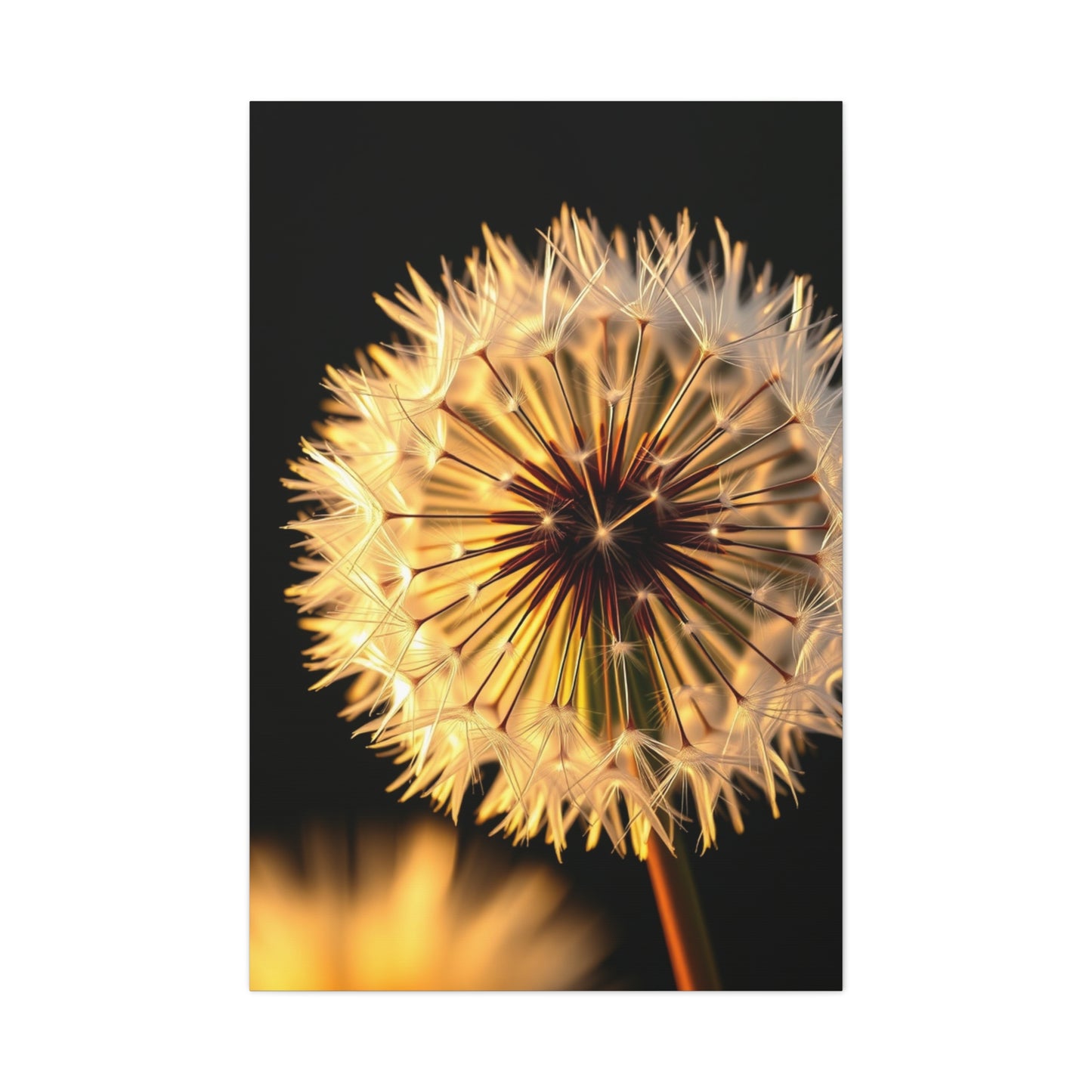 Vision Dandelion Flower Art Art Wall Art & Canvas Print