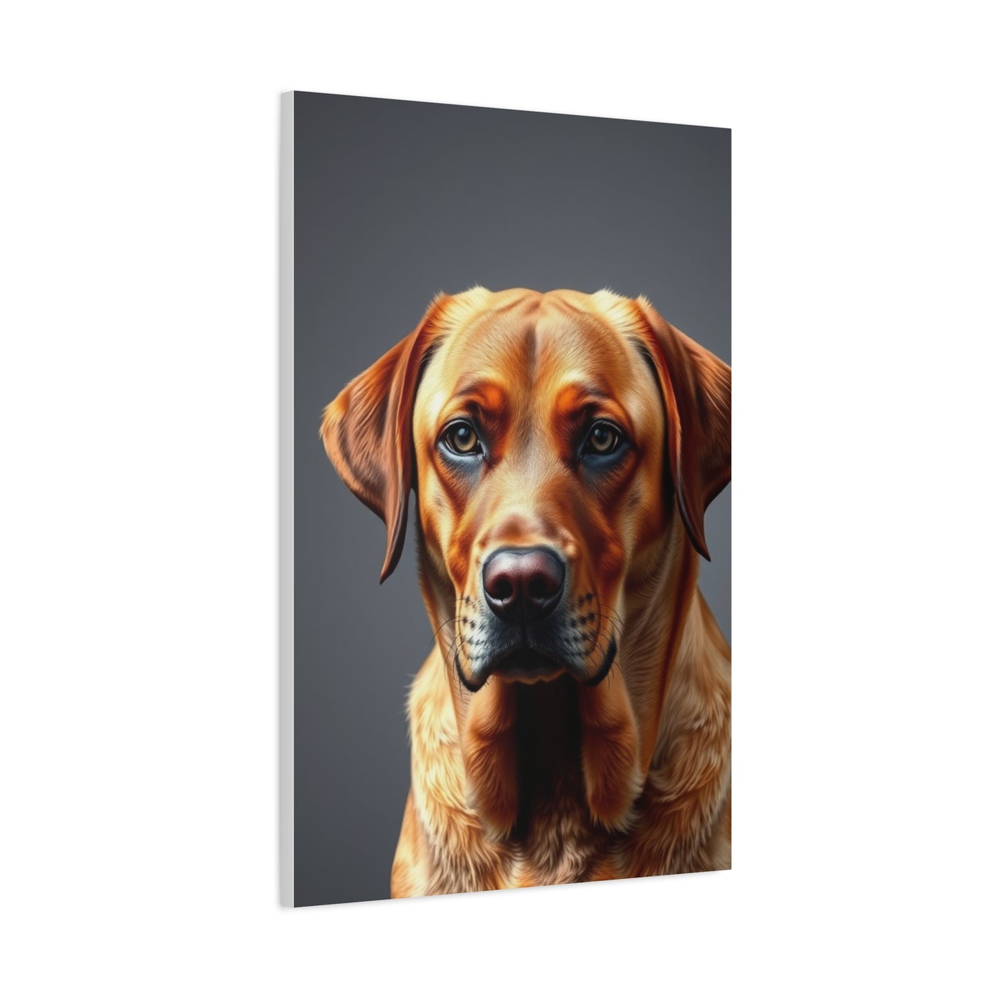 Labrador Retriever Art Supreme Gallery Wall Art & Canvas Print