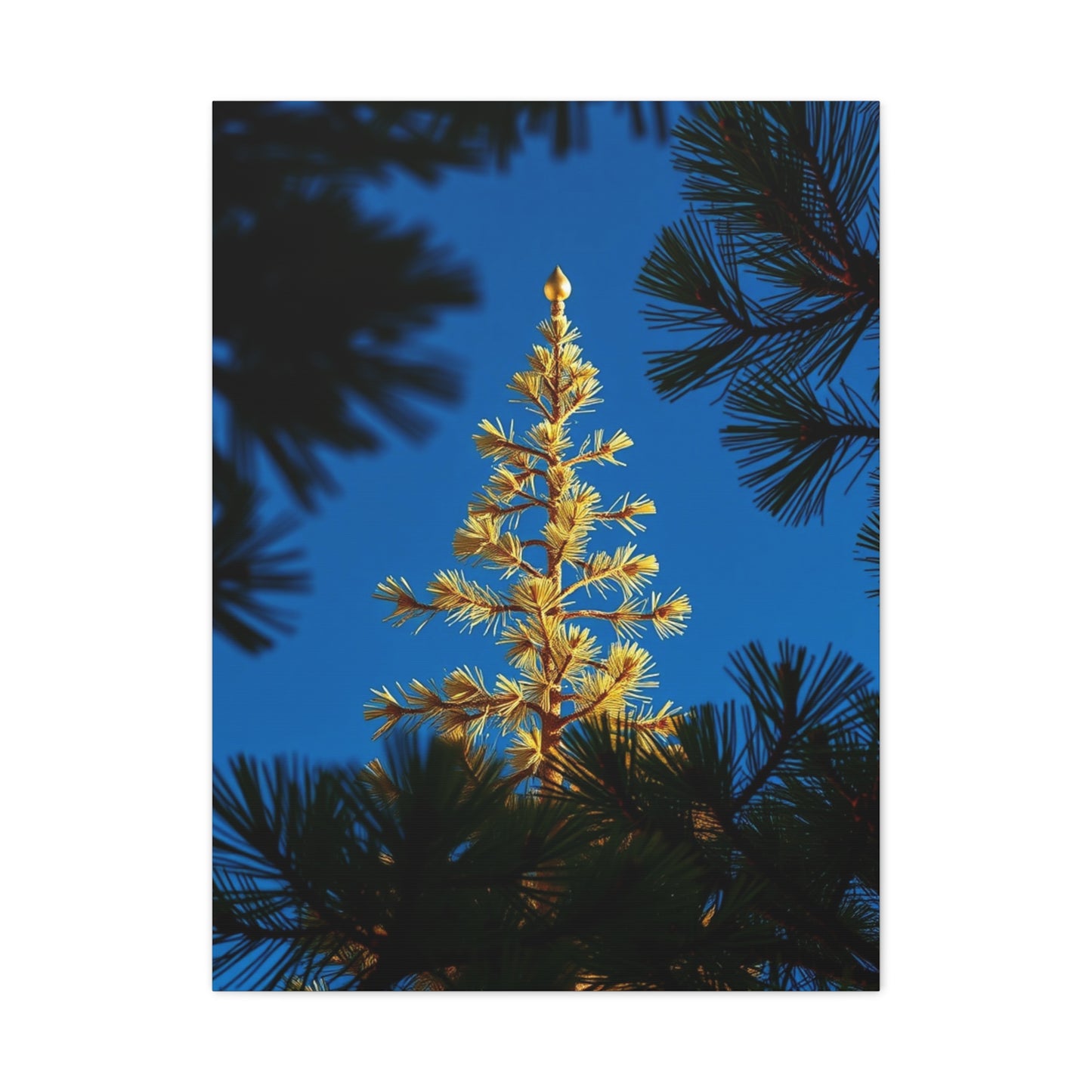 Vision Pine Tree Art Art Wall Art & Canvas Print