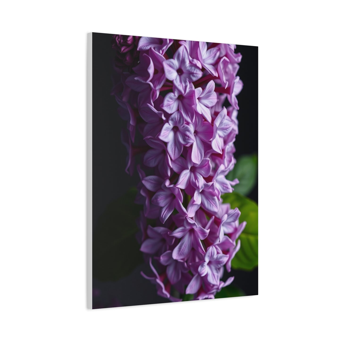 Lilac Flower Art Luxury Canvas Wall Art & Canvas Print