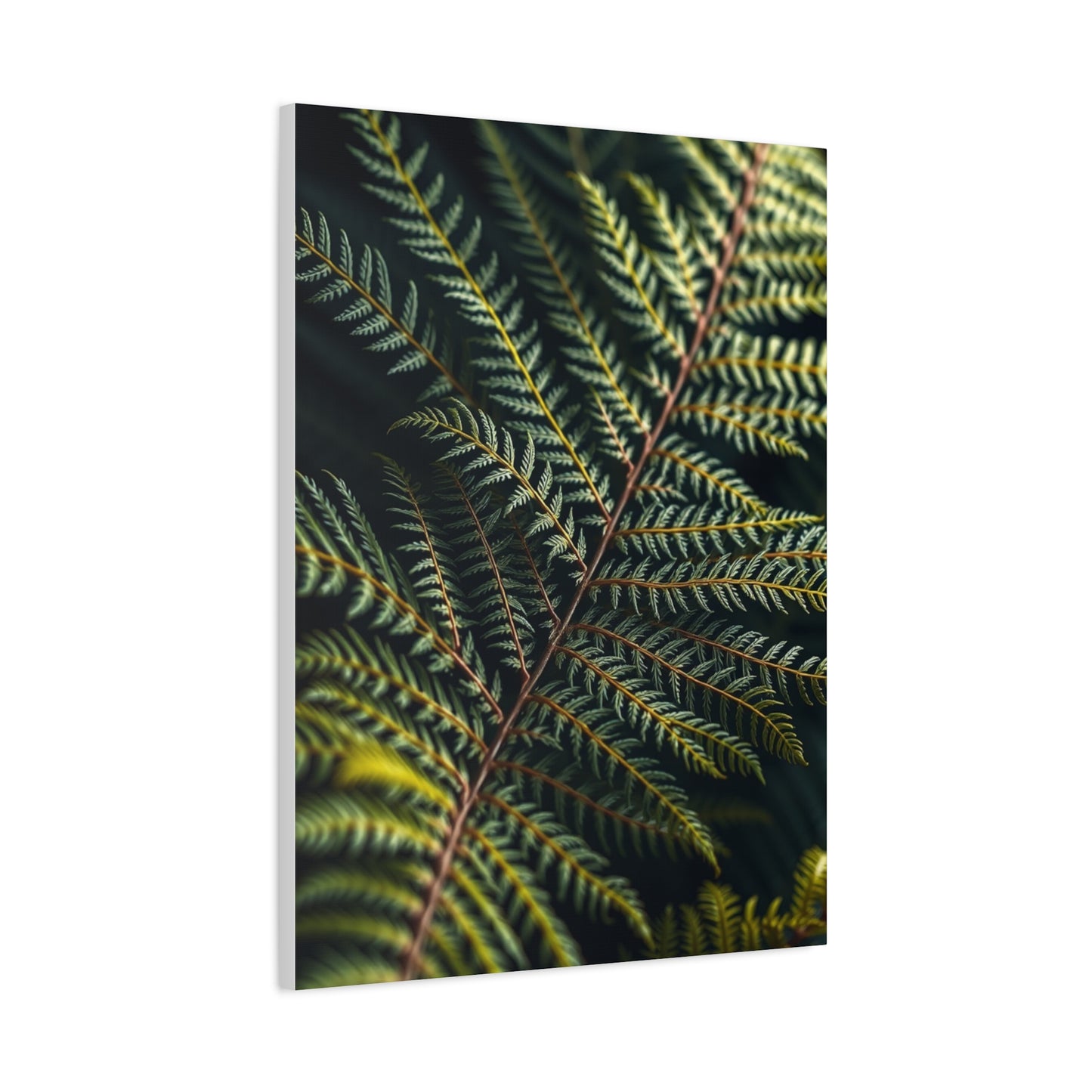 Supreme Fern Art Collection Wall Art & Canvas Print