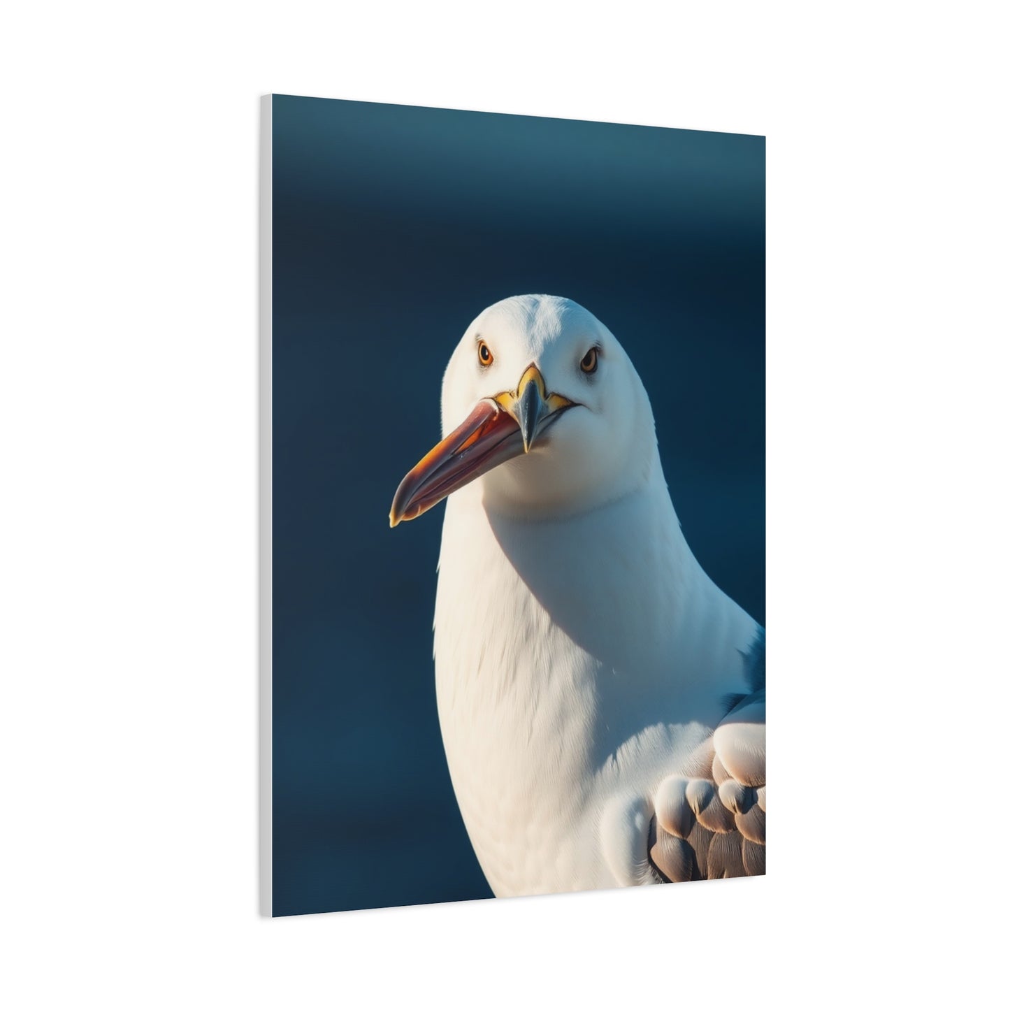 Elite Sea Gull Art Vision Wall Art & Canvas Print