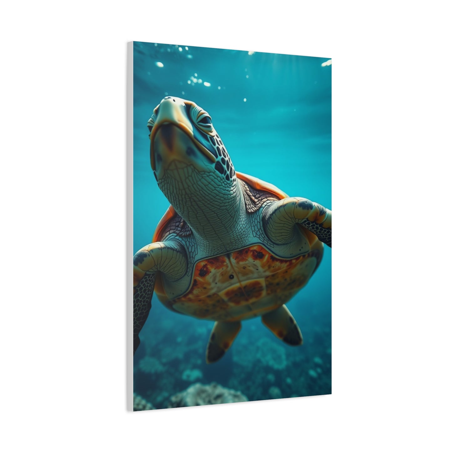 Marine Elegance Giclée Wall Art & Canvas Print