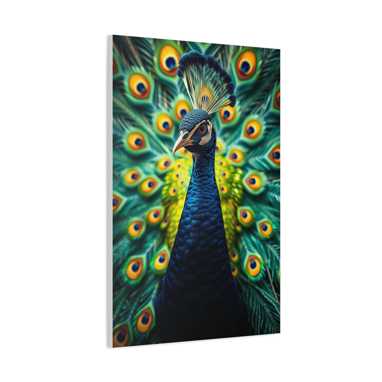 Supreme Peacock Art Collection Wall Art & Canvas Print
