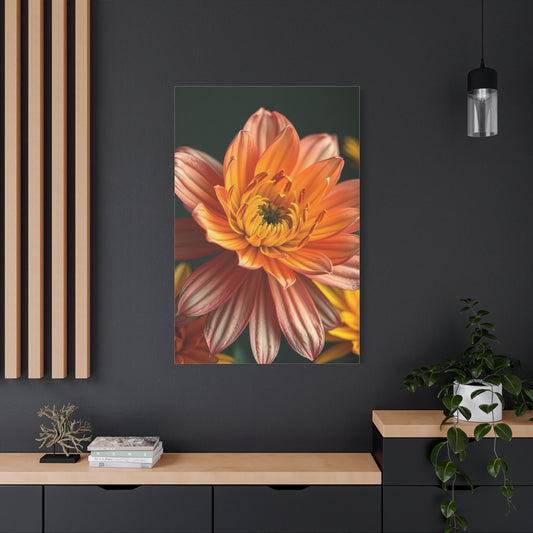 Flowers and Botanicals Art Supreme Gallery Wall Art & Canvas Print