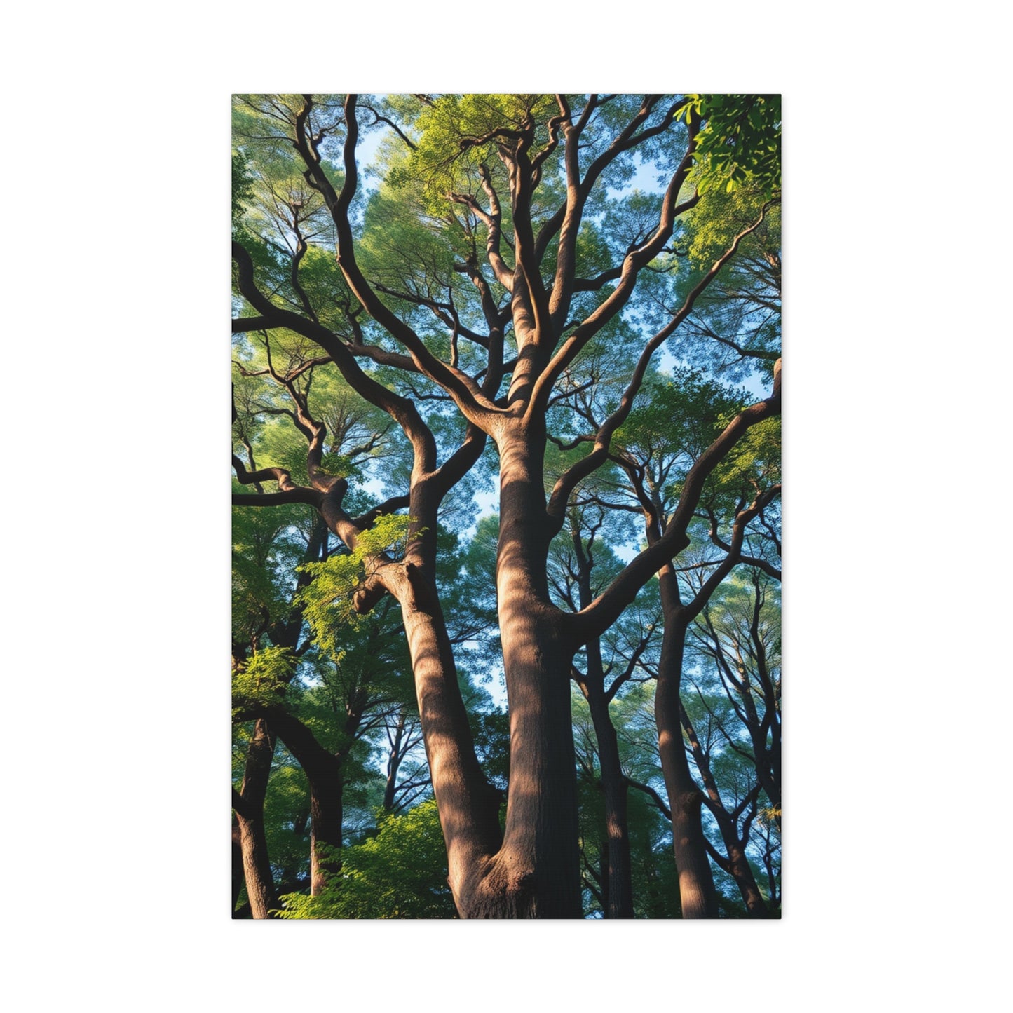 Gilded Forest Impression Wall Art & Canvas Print