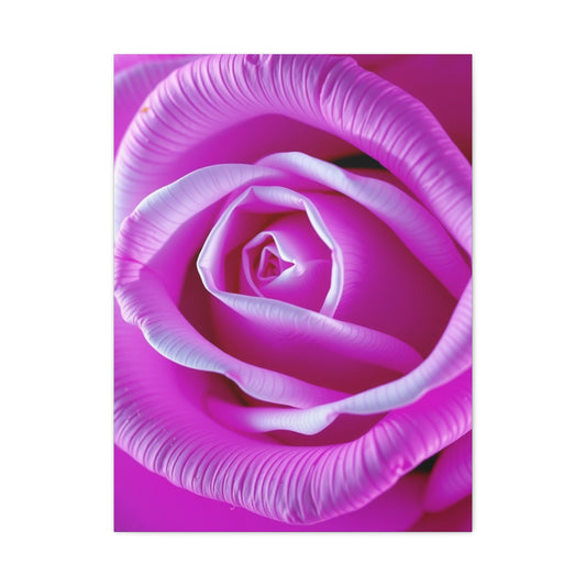 Rose Art Supreme Gallery Wall Art & Canvas Print