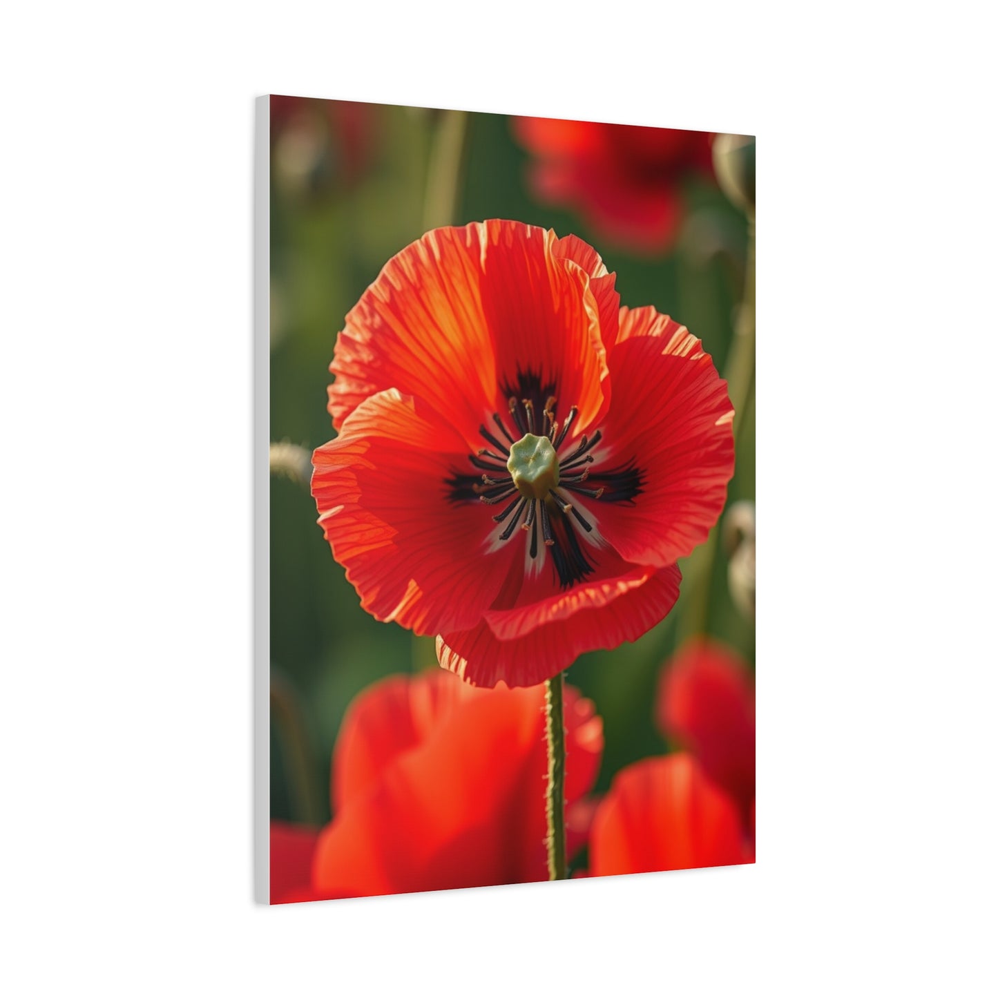 Vision Poppy Flower Art Art Wall Art & Canvas Print