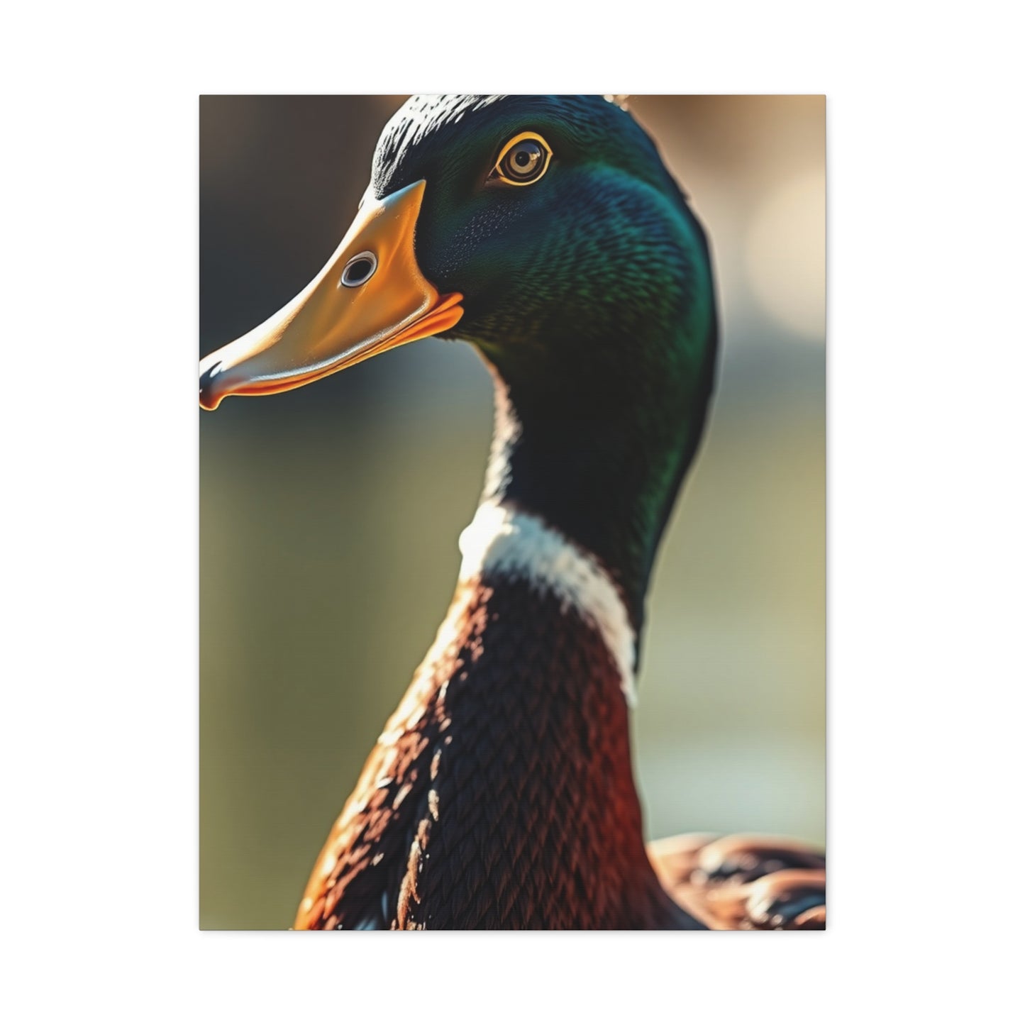 Supreme Duck Art Collection Wall Art & Canvas Print