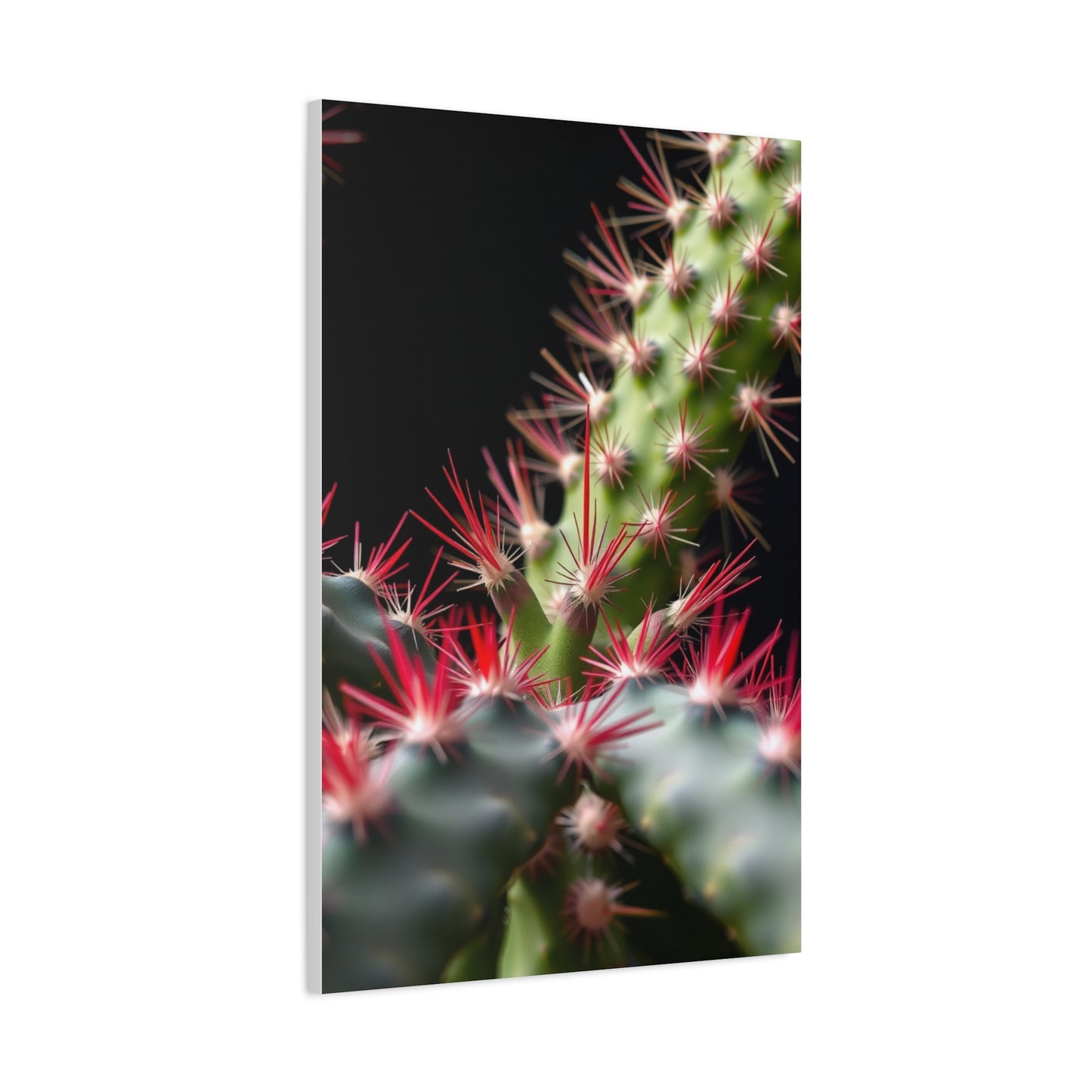 Succulent Symphony Wall Art Wall Art & Canvas Print